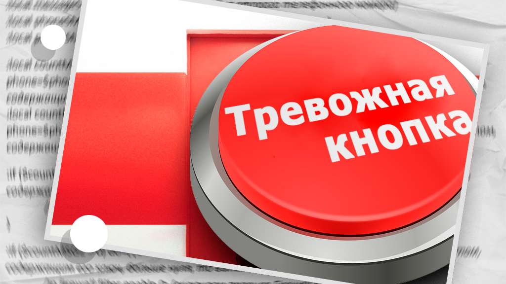 Настройка тревожной кнопки ZEL-Услуги: примеры, скрипты, подробности