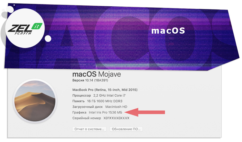 Как посмотреть какая видеокарта на пк? Руководство Windows, Linux и macOS